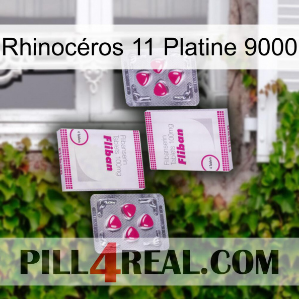 Rhinocéros 11 Platine 9000 33